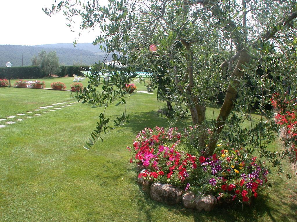 Agriturismo Arnano Sovicille Luaran gambar